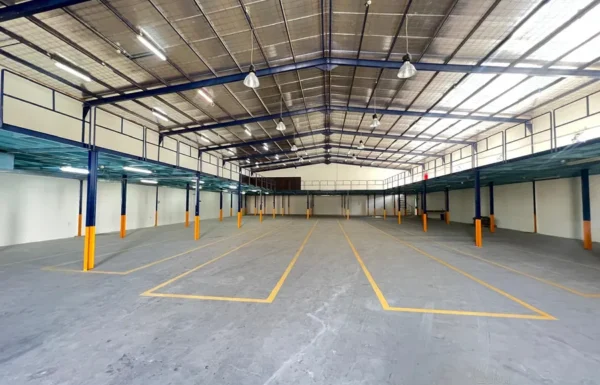 IMG-20251119-WA0007-1763816416931-319199000-4788_900x675