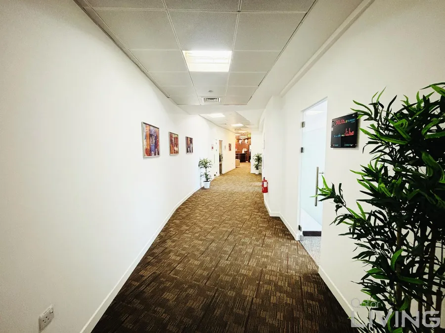 IMG-20251201-WA0031-1764580454028-1063146099-3967_900x675