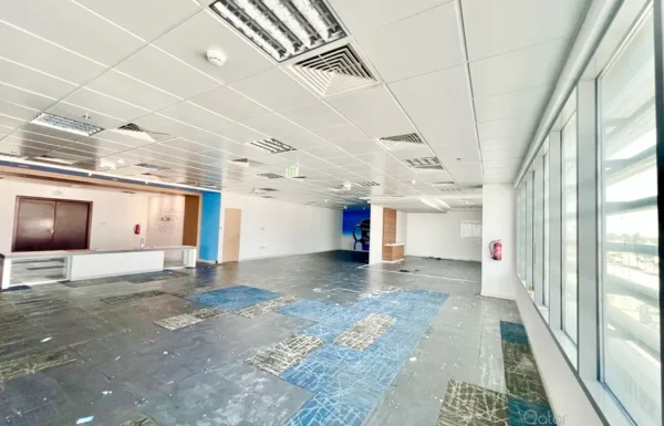 IMG_7654-1762151858100-1245235000-5555_900x675