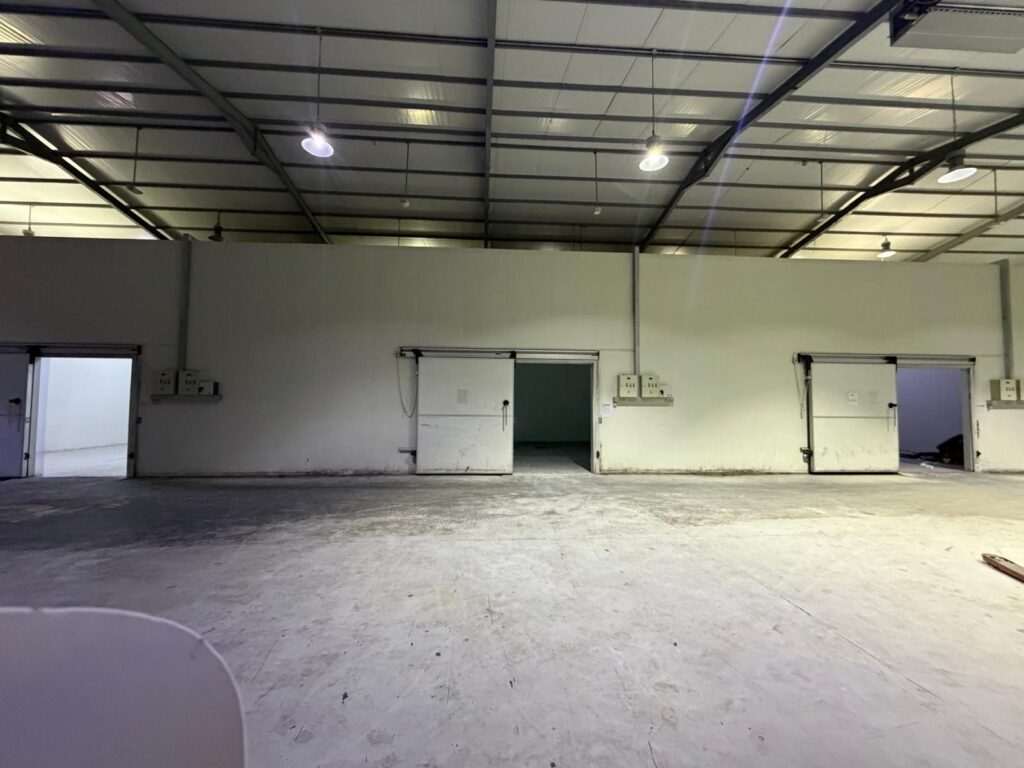 WhatsApp Image 2026-01-04 at 7.14.09 PM