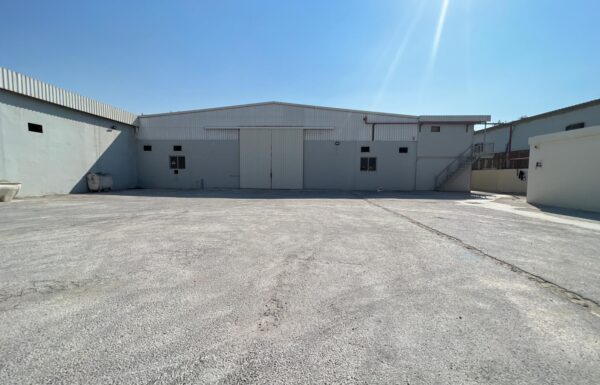 WhatsApp Image 2026-03-10 at 13.31.24