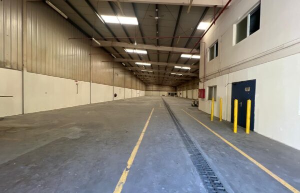 WhatsApp Image 2026-03-10 at 14.04.21 (1)