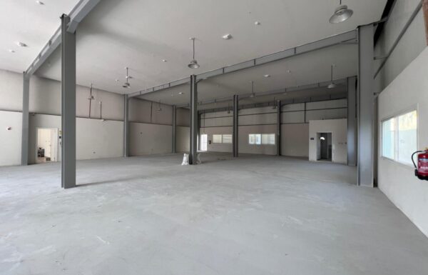 WhatsApp Image 2026-03-10 at 14.44.28