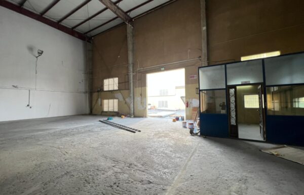 WhatsApp Image 2026-03-24 at 13.28.56 (1)