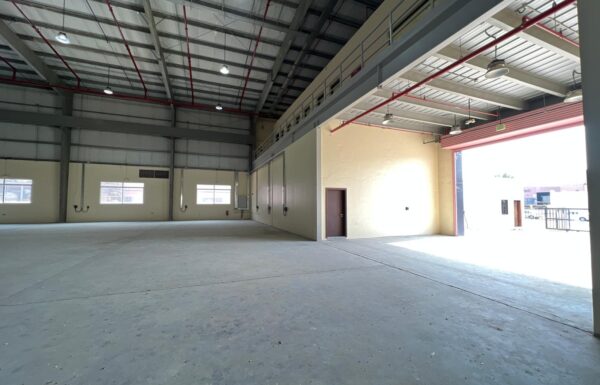 WhatsApp Image 2026-03-24 at 14.00.26 (1)