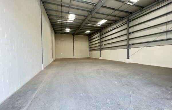 WhatsApp Image 2026-03-24 at 14.37.36